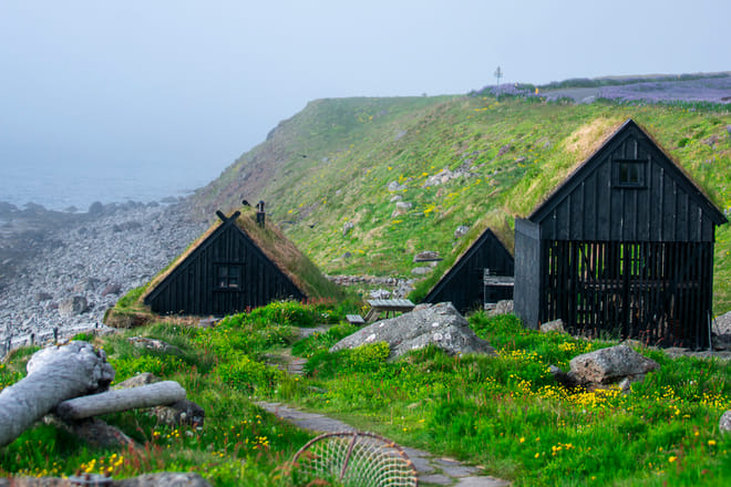 3 Day - Westfjords Highlights Adventure