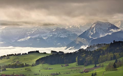 Zürich City Break: 6-Day Tour with Mt. Titlis Visit