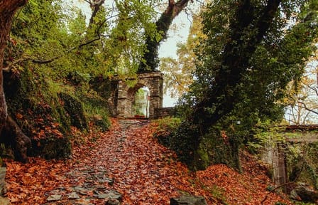 4-Days Arachova Volos and Pelion Private Tour from Athens