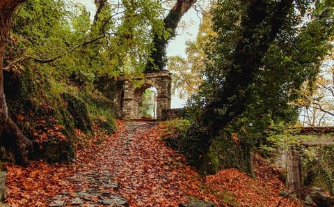 Private 4-Day Cultural Tour of Delphi and Pelion from Athens