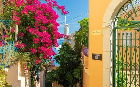 Kefalonia Photography Tour: Explore Assos and Fiscardo