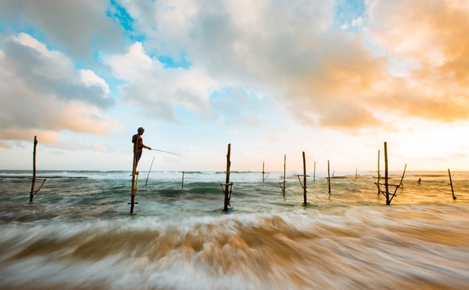 6-Day Cultural Tour of Colombo and Sri Lanka's Highlights