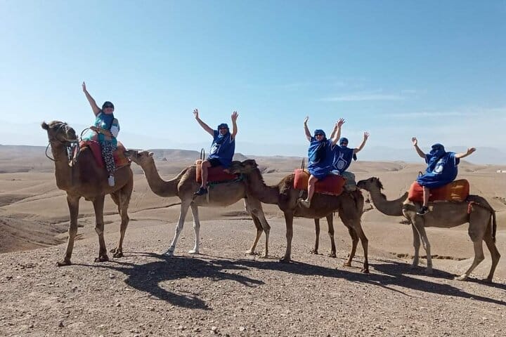 Marrakech day trip to DESERT for CAMEL ride, ATV, DINNER, SHOW