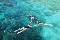 Tropical hike by MALAGA ACTIVA TOURS