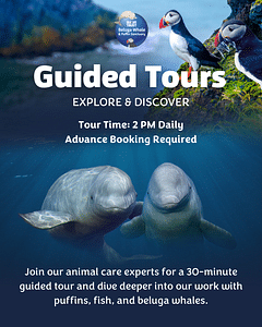 Guided Tour