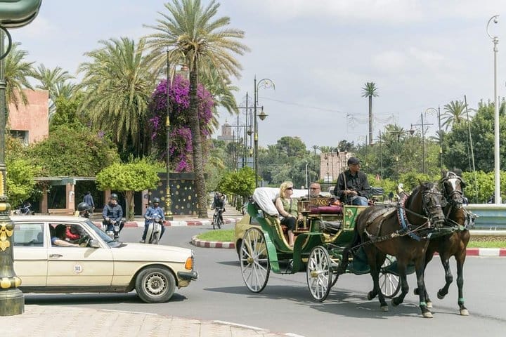 Horse Carriage Ride in Marrakech 3