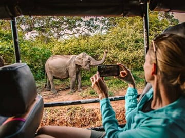 Yala National Park Safari Experience from Tangalle