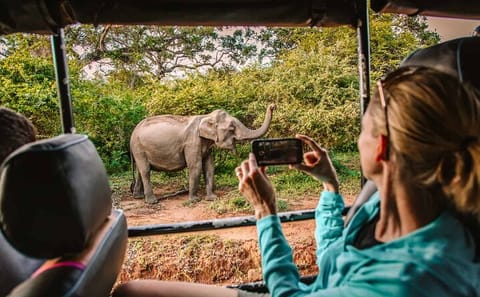 Yala National Park Safari Experience from Tangalle