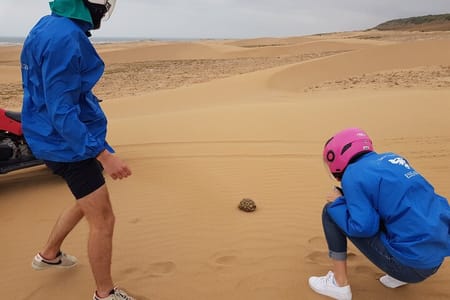 Essaouira P17: Walk EN Quad dunes beaches free transfer.