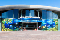 Aquarium Entrance, Malta