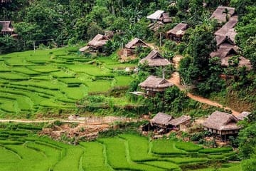 Three-Day Pu Luong Nature Reserve and Ninh Binh Tour from Hanoi
