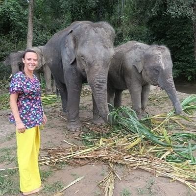 Chiang Mai Elephant Sanctuary Experience: Feed, Bathe, and Bond with Elephants