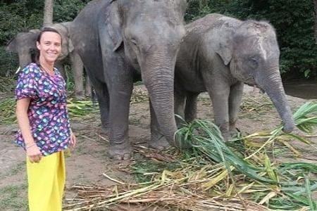 Chiang Mai Elephant Sanctuary Experience: Feed, Bathe, and Bond with Elephants