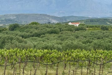 Private Rethymno Tour of Arkadi, Eleutherna, and Margarites