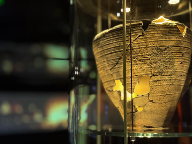 Rynek Underground Museum Guided Tour in Krakow photo 6