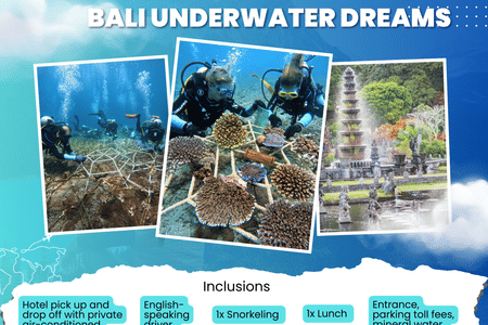 BALI UNDERWATER DREAMS