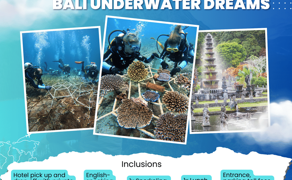 Snorkeling Adventure at Livingseas Coral Restoration Site, Bali