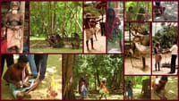 Wadda Village Camping Mahiyanganaya 4