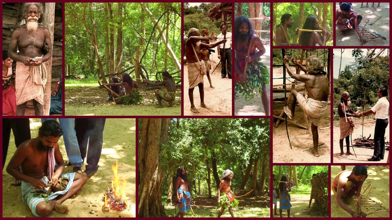 Wadda Village Camping Mahiyanganaya 4