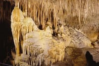 Full-Day Mallorca Caves Tour: Drach, Hams & Pearl Factory Visit 7