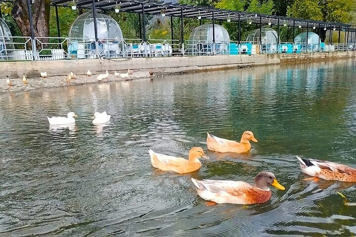 Gabala tour_Nohurlake_gabala_VLA Travel-best azerbaijan travel-best travel company_VIP