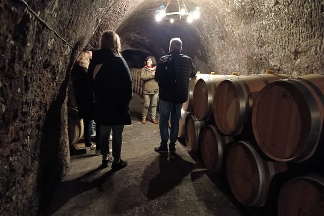 2 Day Ribera del Duero Private Wine Tour from Madrid - Photo 3