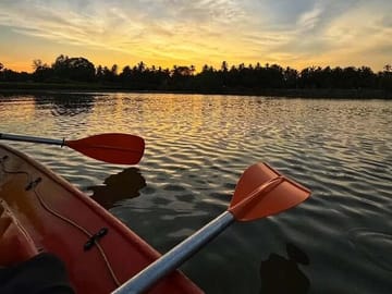 Kayak Rentals in Negombo Lagoon