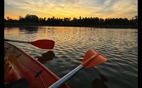 Kayak Rentals for Self-Guided Exploration in Negombo Lagoon