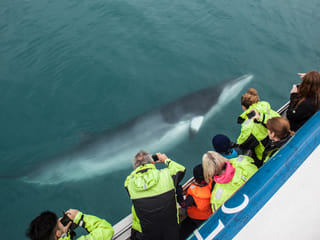 Whale Watching & Caving, photo 14