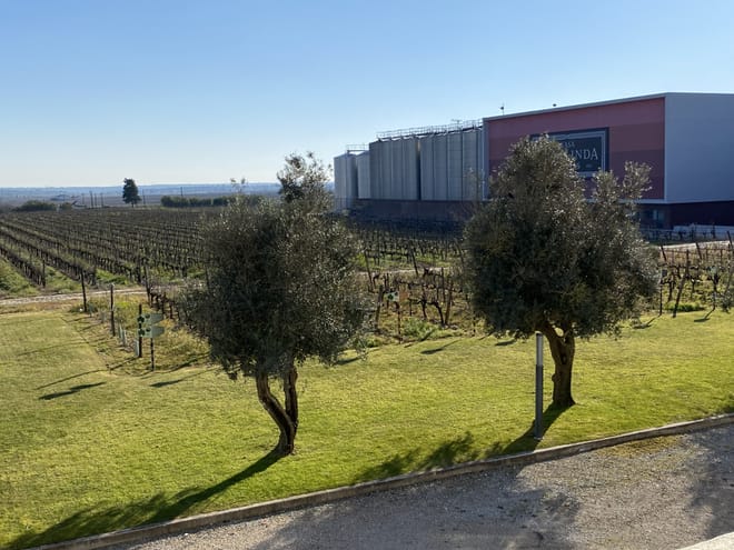 Lisbon's Northern Region Wine Tasting Private Tour 10