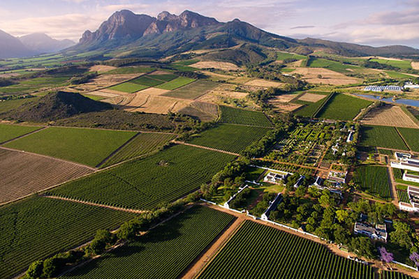 Cape Winelands with Fairview Wine Estate & Babylonstoren Wine Farm Experience. From Cape Town. Guided