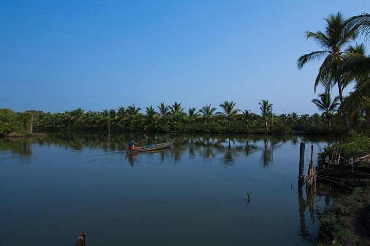 Backwater Bliss: Alleppey Day Cruise with Lunch