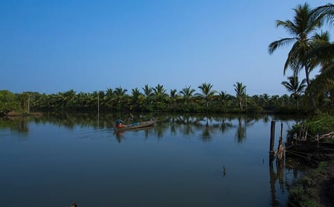 Alleppey Backwater Cruise with Lunch from Kochi
