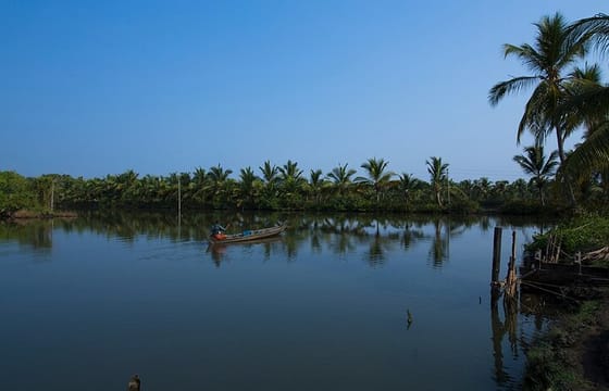 Backwater Bliss: Alleppey Day Cruise with Lunch