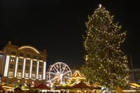 Dresden Private Christmas Market Tour With A Professional Guide 4