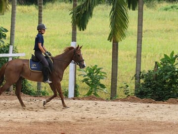 4-Hour Guided Horse Riding Tour in Nuwara Eliya
