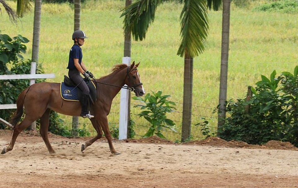 4-Hour Guided Horse Riding Tour in Nuwara Eliya
