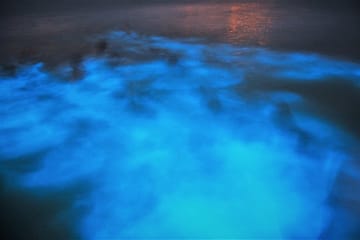 Luminous Lagoon Boat Tour from Montego Bay Hotels