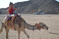Super Moto Marine: ATV Quad, Buggy Car , Snorkeling – Marsa Alam