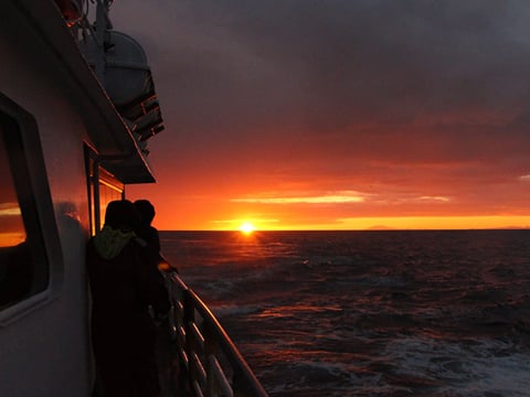 Reykjavík Classic Whales in the Midnight Sun, photo 12