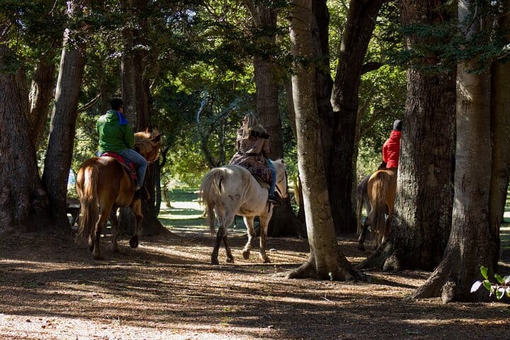 Patagonian Horseback Riding Experience in Baqueanos
