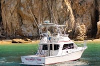 Private Marlin Charter Cabo 5 Hour 38ft Yacht 6 Anglers 10