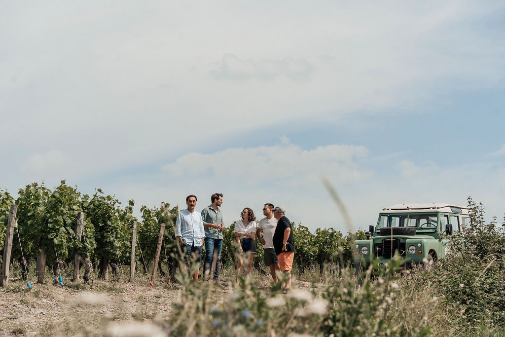 A group of people is enjoying a stop in the middle of a vineyard on a sunny day. In the background, a vintage Land Rover.