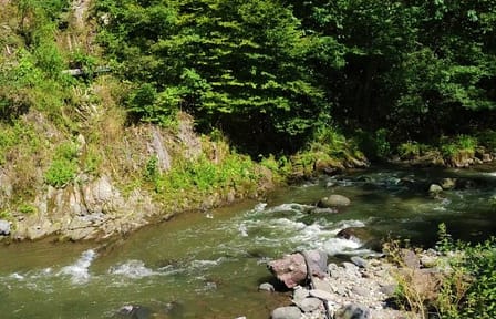 Jeep Tour to Tabatskuri Lake from Tbilisi with Scenic Stops