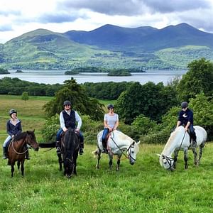 Killarney National Park horseback ride. Kerry. Guided. 1 hour.
