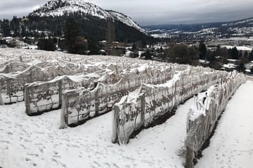 Vancouver to Okanagan Valley Tour Private