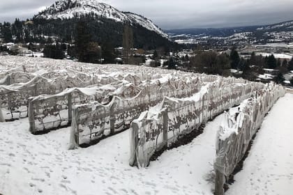 Vancouver to Okanagan Valley Tour Private