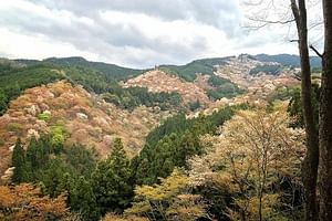 Full-Day Private Guided Tour in a Japanese Mountain: Yoshino, Nara
