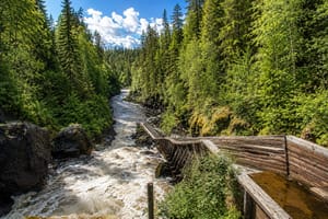 Rovaniemi: Auttiköngäs Waterfalls Hike Tour & Barbeque - Small Group