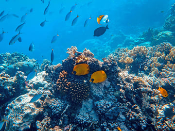 Sefu Sandbank white sand and turquoise water